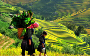 Du lịch Sapa 8