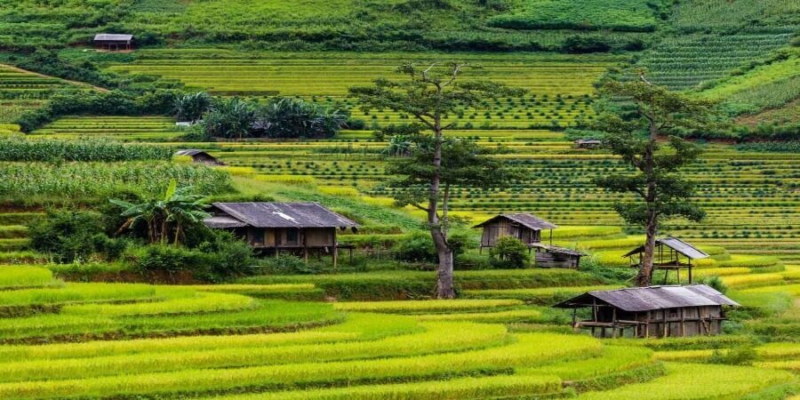 Tây Bắc Việt Nam