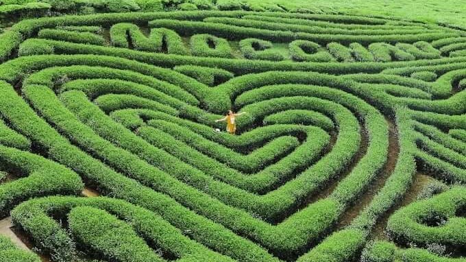 Top 10 địa điểm du lịch Mộc Châu