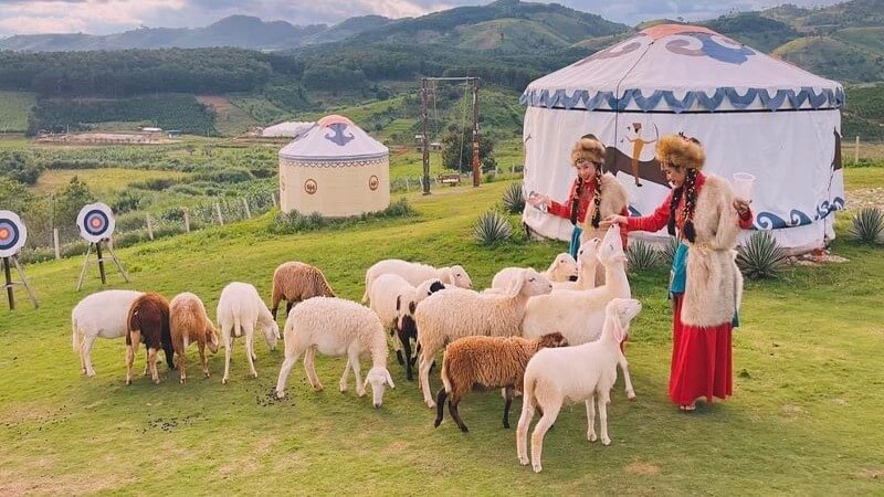 Mongo Land Đà Lạt