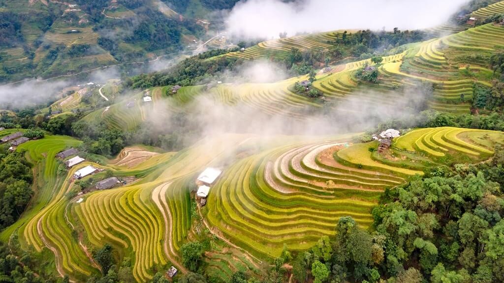 Ruộng bậc thang Hoàng Su Phì Khám phá Hà Giang