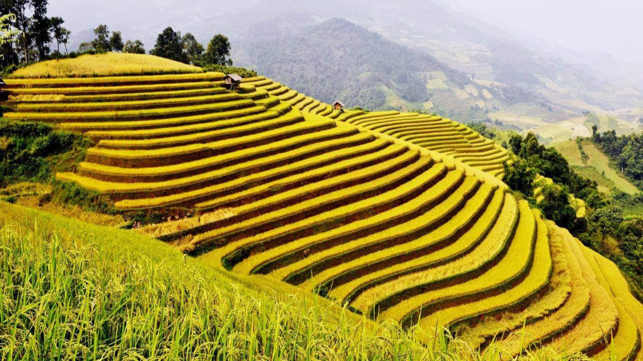 Ruộng bậc thang Hồng Thái Du lịch Tuyên Quang