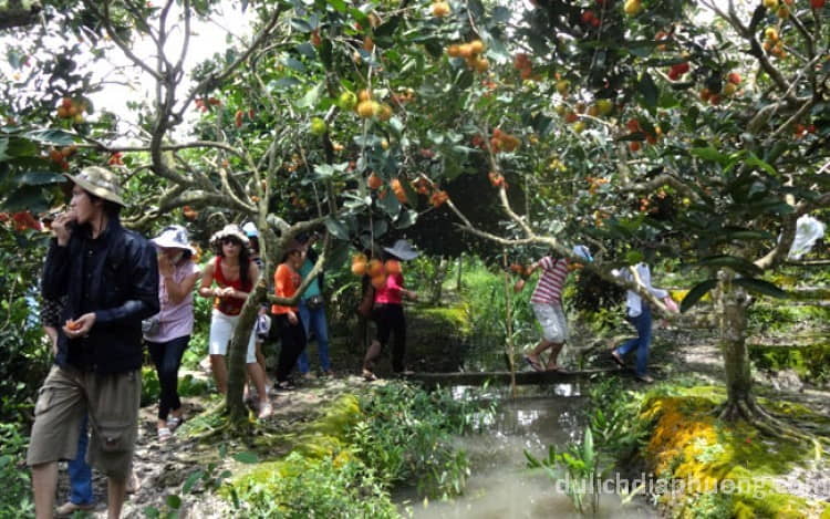 Điểm đến du lịch Bến Tre - Khu du lịch Vườn Ba Ngói