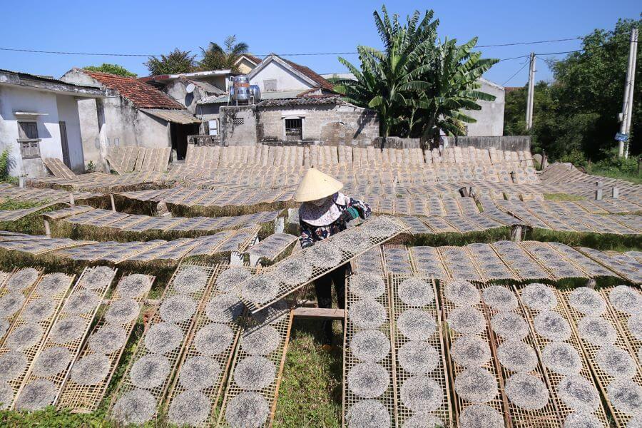Điểm đến du lịch Bến Tre - Làng nghề bánh tráng Mỹ Lồng