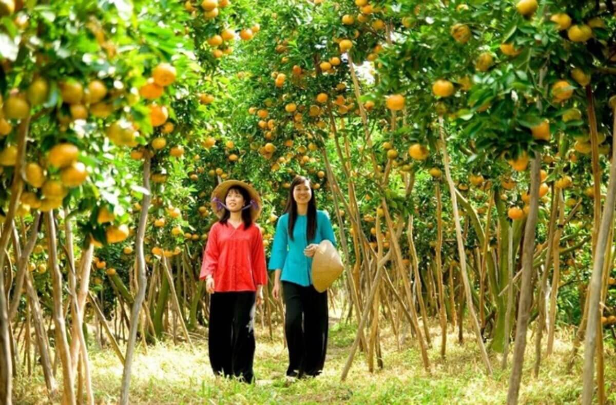Điểm đến du lịch Bến Tre - Vườn trái cây Cái Mơn