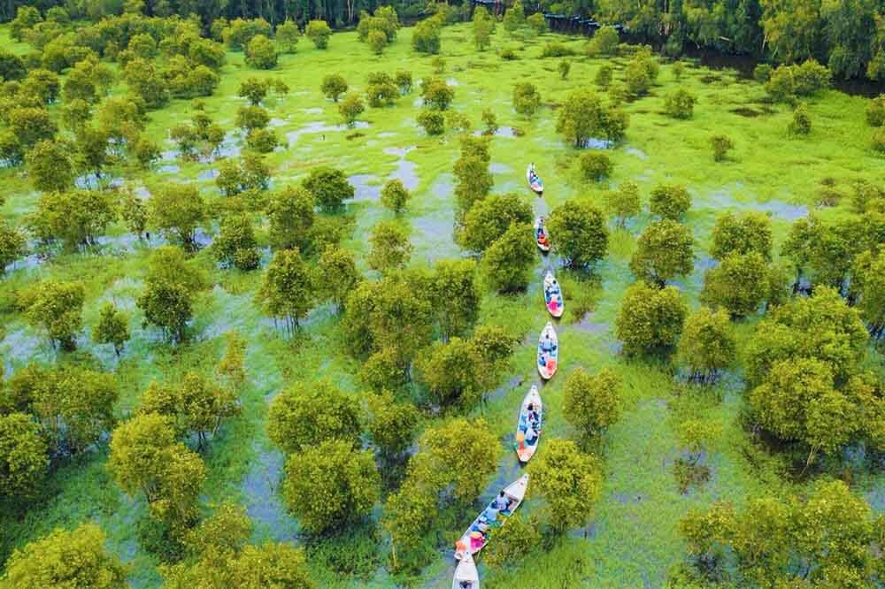 Điểm du lịch miền Tây - Rừng tràm Trà Sư
