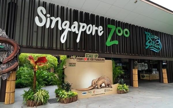 Sở thú Singapore - Du lịch Singapore